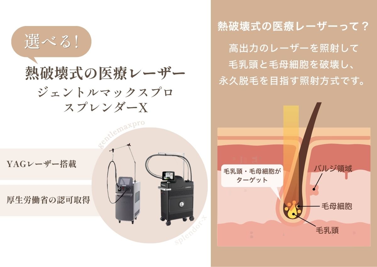 選べる脱毛